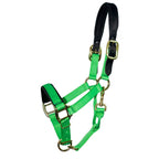Premium Nylon Breakaway Halter with Padded Crown/Nose