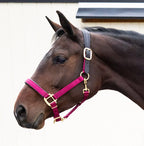 Premium Nylon Breakaway Halter with Padded Crown/Nose