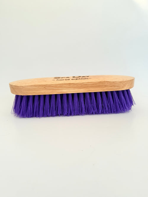 Dandy Brush - Spa Day